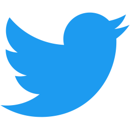 X (Twitter)